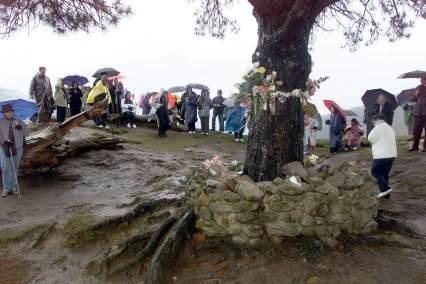 bin.venster.bingarabandal